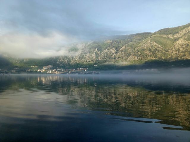 Kotor