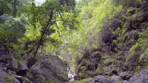 九龍潭自然風景区