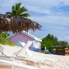 Señor Frog's | Nassau User Photo