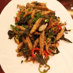 賞悅餐廳張用戶圖片