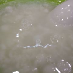 恒義诚·老鼠窟国营饭店(桥头街店) User Photo