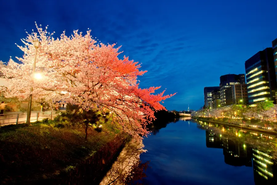 Burg Fukuoka