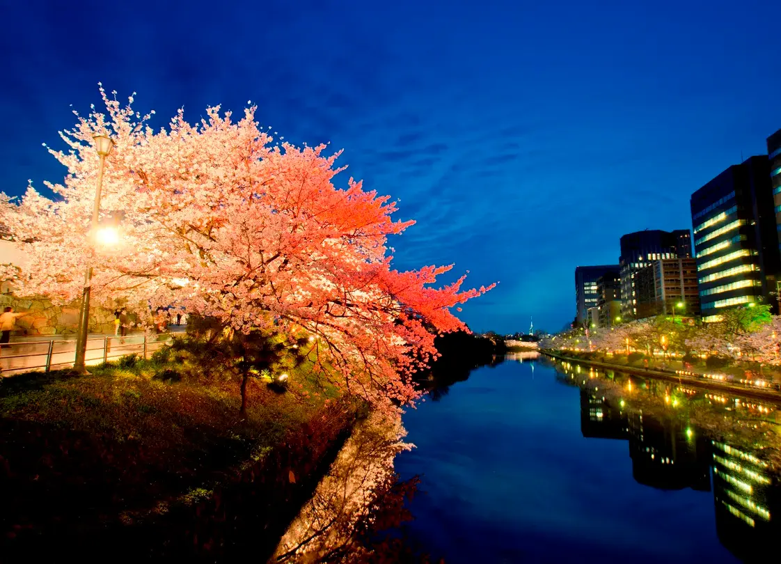 2_Fukuoka Castle Ruins