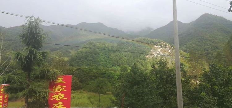 王家农庄