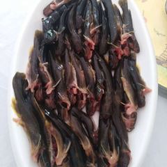 Shipu Farm Family Resort User Photo