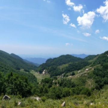 評論圖片 5