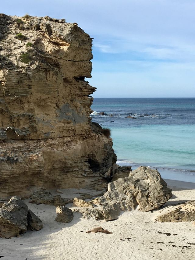 Seal Bay