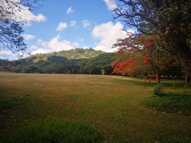 National Tropical Botanical Garden