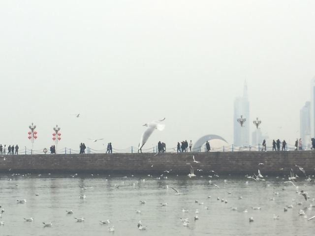 Zhanqiao Pier