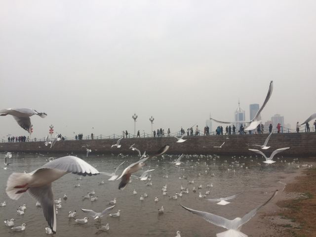 Zhanqiao Pier