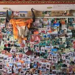 前站牦牛酸奶坊 User Photo