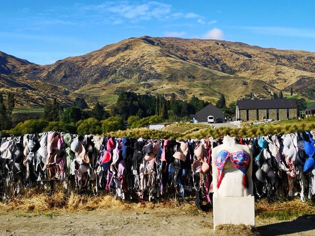 Cardrona Bra Fence