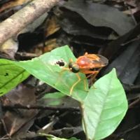 評論圖片 2