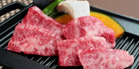 Tsukihitei Kintetsu Nara Eki-Mae