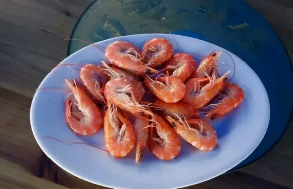 釣魚之家大排檔