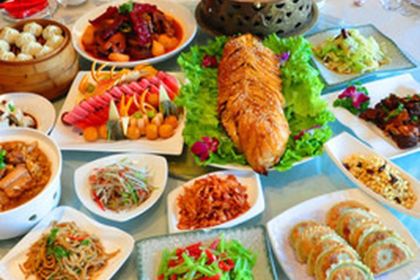 MENG GU DA YING SHI DE GONG YUAN DIAN