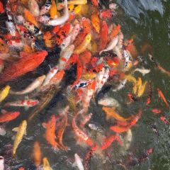 WENFENG GARDEN HOTEL User Photo