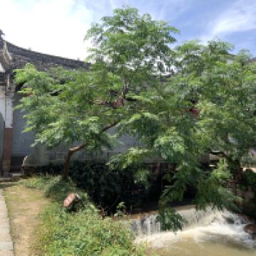 評論圖片 5