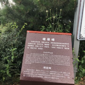 評論圖片 6