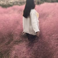 評論圖片 2