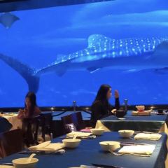 Ocean Beauty Restaurant 여행 사진