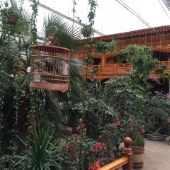 海东海峰国际大饭店·餐厅 User Photo