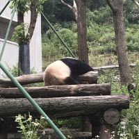 評論圖片 7