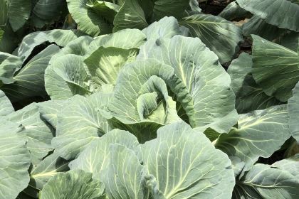 金源山庄(G108店)