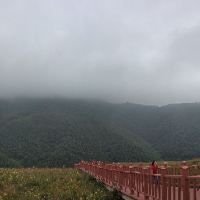 評論圖片 1