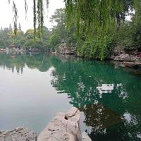 評論圖片 5