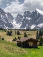 Alpe di Siusi