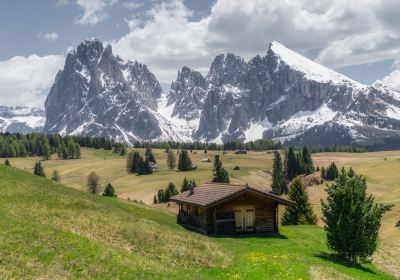 Cabinovia Alpe di Siusi