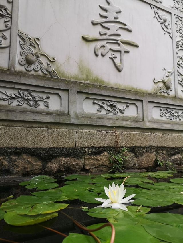 Zhuziqing Jiuju