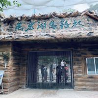 評論圖片 7