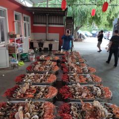 LU WU NONG GU YUAN User Photo