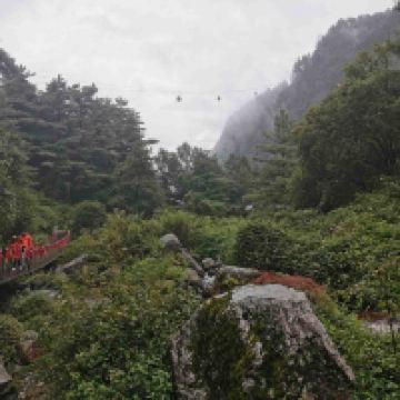 評論圖片 9