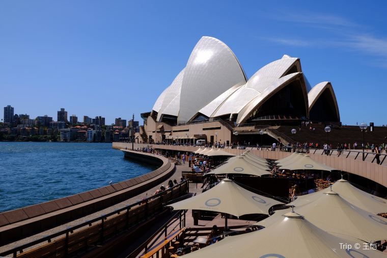 Sydney Opera House: A Detailed Guide travel notes and guides – Trip.com  travel guides