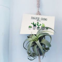 Paraiso Chino User Photo