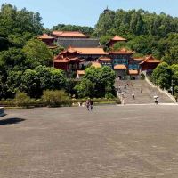 評論圖片 3