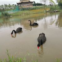 評論圖片 3