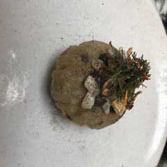 Quintonil張用戶圖片