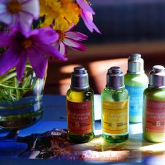 拉萨松赞林卡酒店·餐厅 User Photo