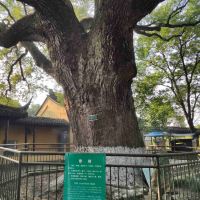 評論圖片 1