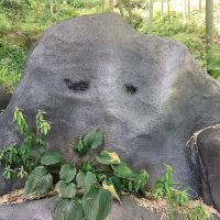 評論圖片 8