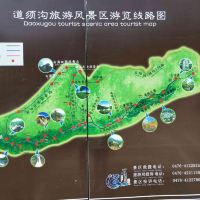 評論圖片 4