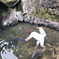 評論圖片 3