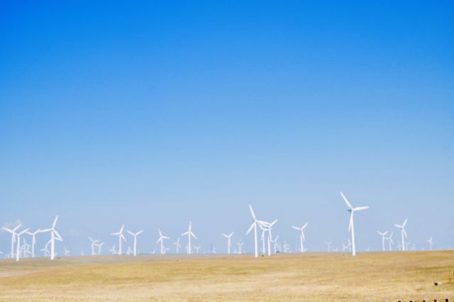 風力發電廠