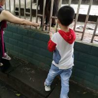 評論圖片 6
