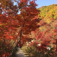 評論圖片 8