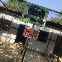 評論圖片 6